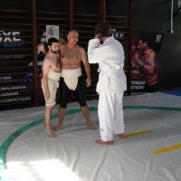 Iniciativa Nihon Budo Sai